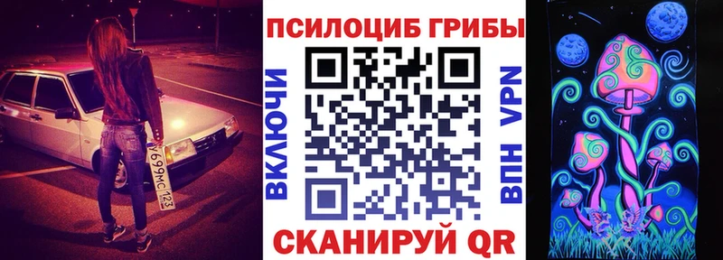 Псилоцибиновые грибы Cubensis  Гаврилов-Ям 