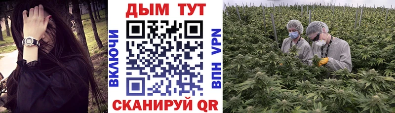 Каннабис OG Kush  Гаврилов-Ям 